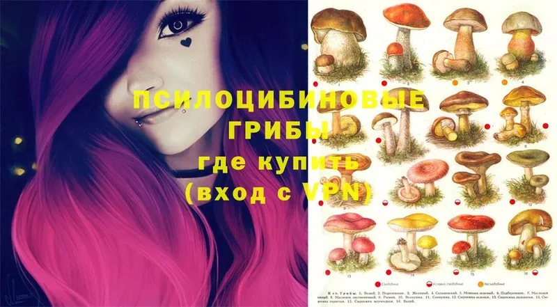 Галлюциногенные грибы Cubensis  Азнакаево 